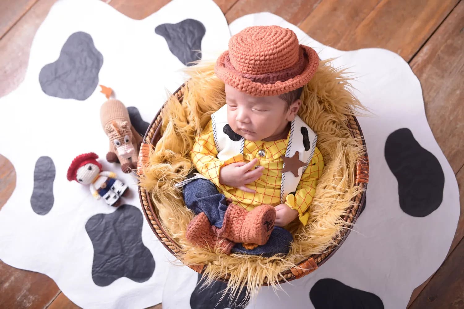Ensaio Newborn