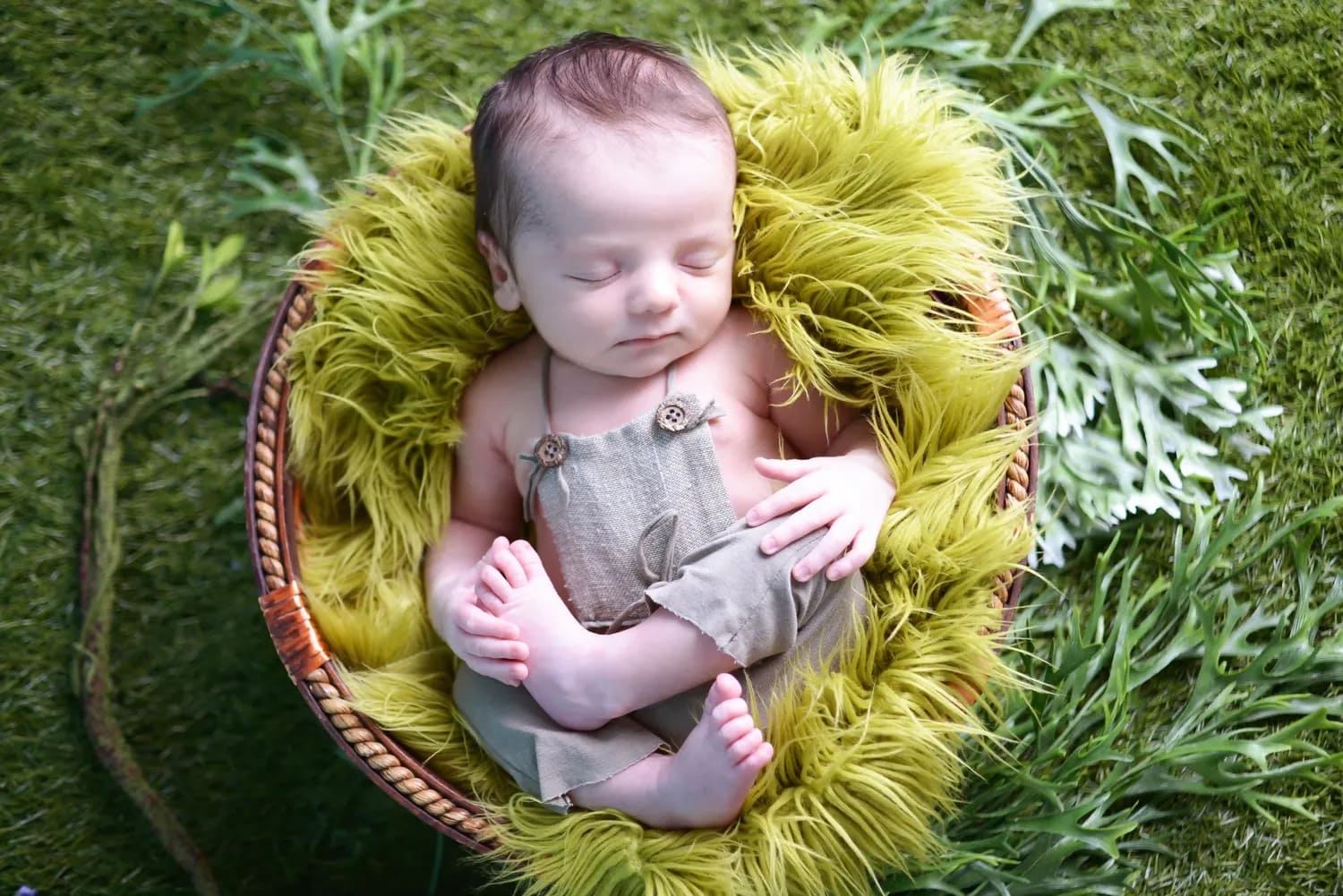 Ensaio Newborn