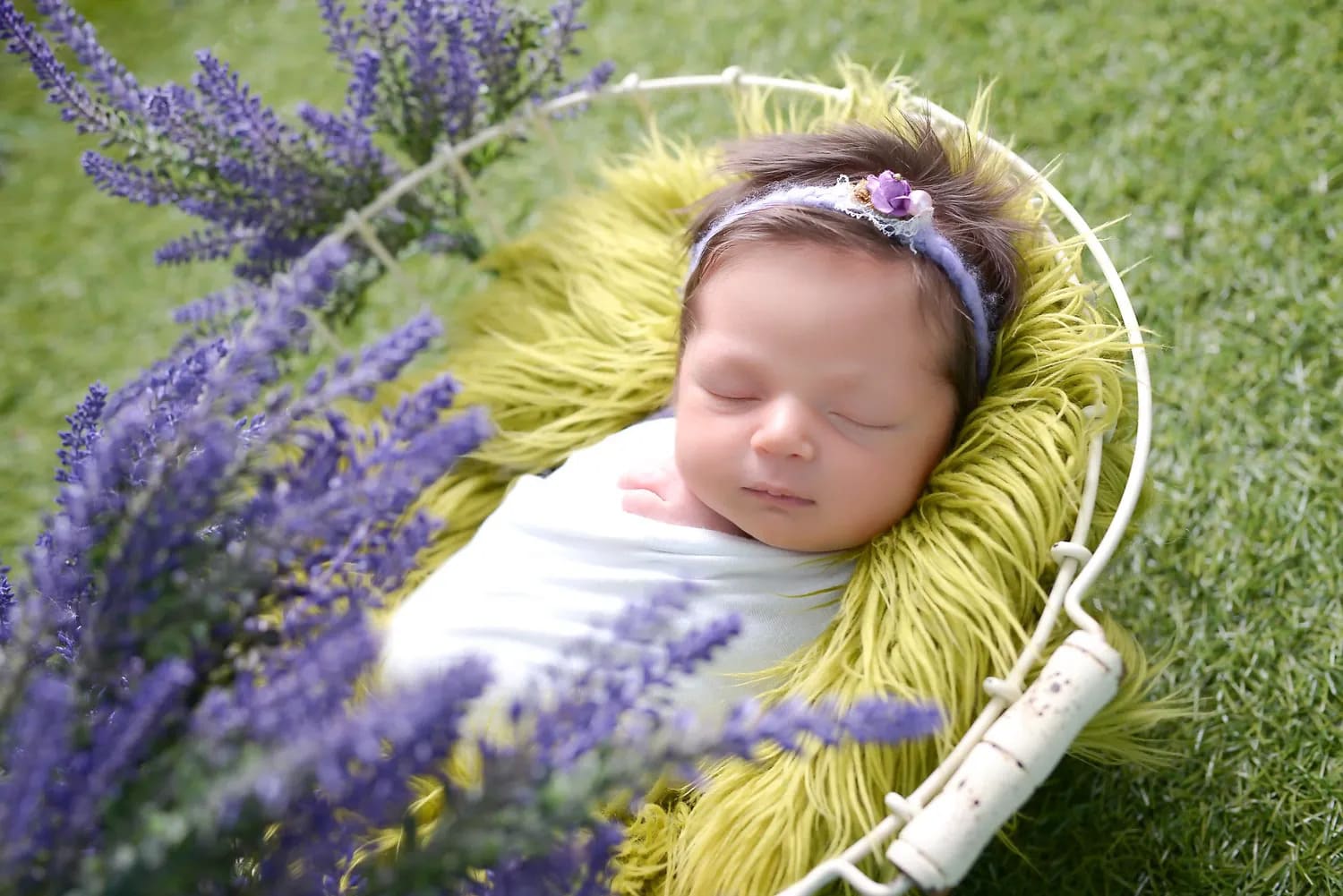 Ensaio Newborn