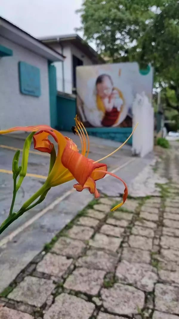 Estrutura de 150m² do estúdio Dos Anjos Fotografia em Curitiba